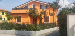 New Life, Carrara
